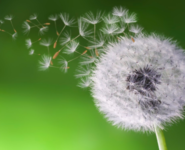 Д-р Рита Бенн: ТМ против лекарств