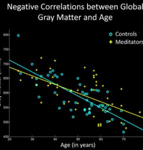 Медитация замедляет уменьшение серого вещества в мозгу