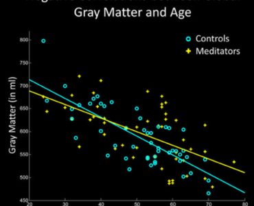 Медитация замедляет уменьшение серого вещества в мозгу