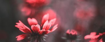 Медитация борется с одиночеством