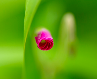 Что происходит с нашим мозгом в старости?