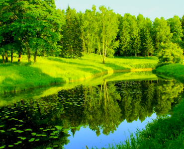 ГВМУ интересуется йогой