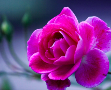 Ольга Голубева: спорт и ТМ