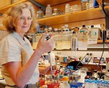 Медитация и старение: что говорит наука?