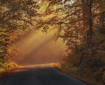 Ракель Циммерман: Медитация изменила всю мою жизнь в течение года.