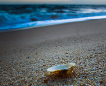 Отец Леонард Дуби о ТМ