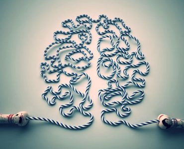 Пластичность мозга: как знания и тренировки улучшают его конструкцию