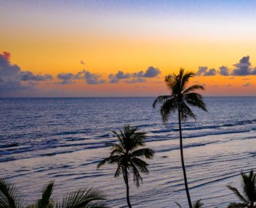 Д-р Роберт Уоллас: На 12 лет моложе.