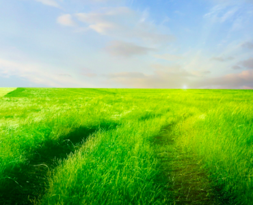 Внедрение ТМ в школе Украины