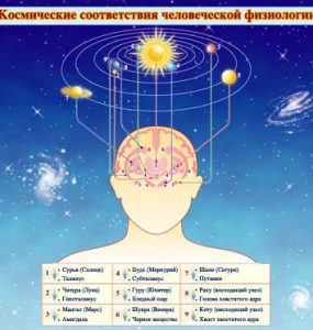 Космические соответствия человеческой физиологии в Ведической Литературе