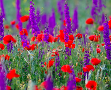 Йога и медитация улучшают работу мозга