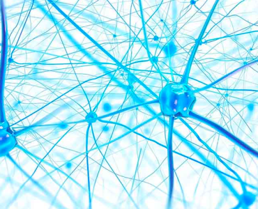 Ученые из MIT обнаружили регион мозга, ответственный за пессимизм 10 Пессимизм в мозге человека