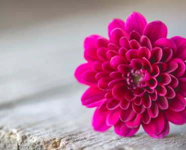 Рэй Далио: принципы успеха и ТМ