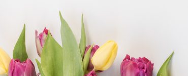 МАХАРИШИ: Как устроено Сознание