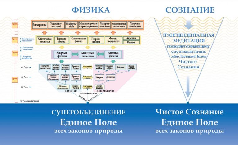 Единое поле всех законов Природы: где встречаются физика и сознание