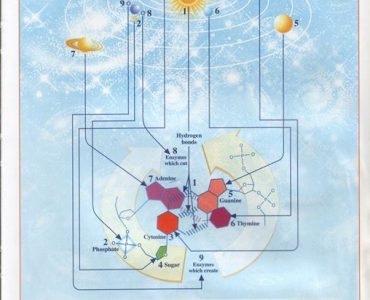 Физиология Человека — выражение Веды