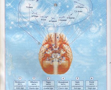 Физиология человека ведет к Ведам и Ведической литературе