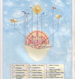 Физиология Человека – выражение Веды