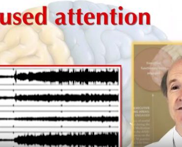 Фред Трэвис: медитация помогает развивать внутренний потенциал