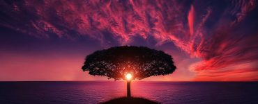 Жизель Бундхен: Я наслаждаюсь медитацией