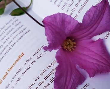 Махариши: "Медитация не раскрывает высшее 'Я', она выводит ум из облаков относительности"