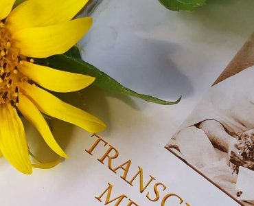 ТМ – Вопросы и ответы: Глава “Трансцендентальная Медитация и её польза” 14 ТМ – Вопросы и ответы: Глава “Трансцендентальная Медитация и её польза”