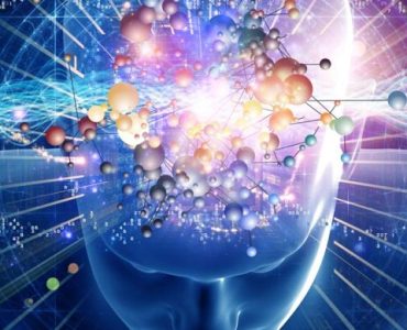 Всемирный день мозга и его связь с Трансцендентальной Медитацией