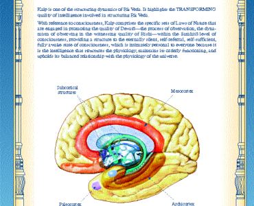 Человеческая физиология: Выражение Веды и Ведической литературы 3 Человеческая физиология: Выражение Веды и Ведической литературы
