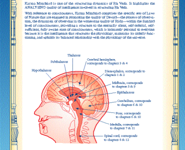 Человеческая физиология: Выражение Веды и Ведической литературы 12 Человеческая физиология: Выражение Веды и Ведической литературы