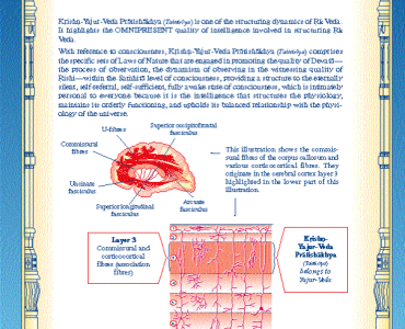 Человеческая физиология: Выражение Веды и Ведической литературы