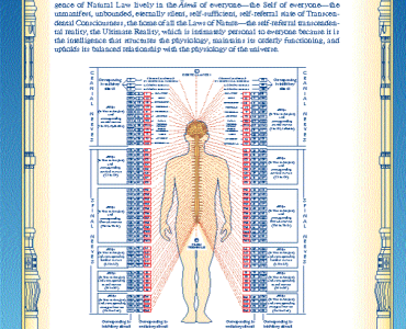 Человеческая физиология: Выражение Веды и Ведической литературы 3 Человеческая физиология: Выражение Веды и Ведической литературы