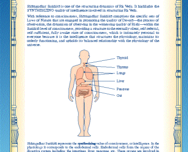 Человеческая физиология: Выражение Веды и Ведической литературы