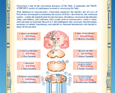 Человеческая физиология: Выражение Веды и Ведической литературы