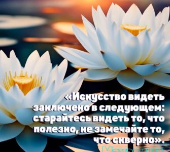 Трансцендентальная Медитация в цитатах