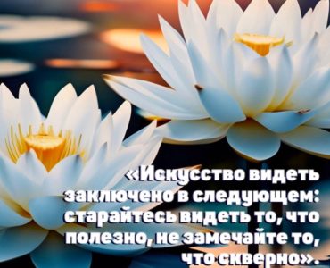 Трансцендентальная Медитация в цитатах