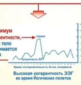 Совсем скоро стартует обучение ТМ-Сидхи в России
