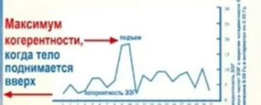 Совсем скоро стартует обучение ТМ-Сидхи в России