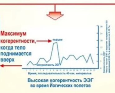 Совсем скоро стартует обучение ТМ-Сидхи в России