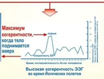 Совсем скоро стартует обучение ТМ-Сидхи в России