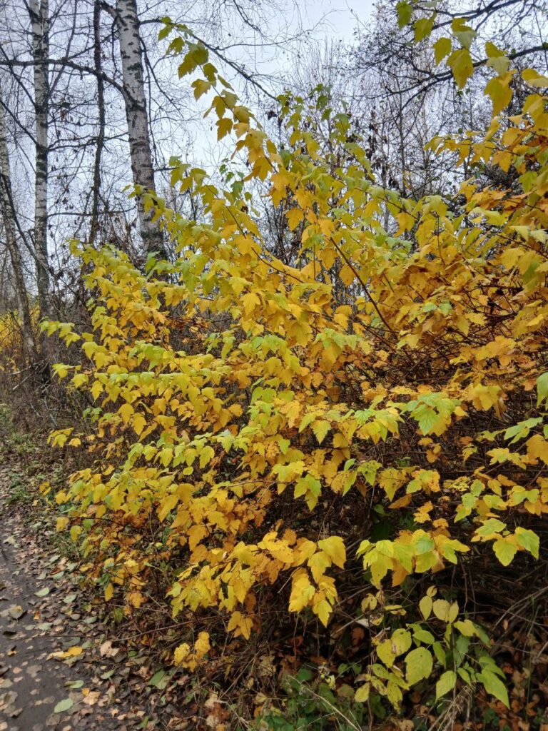 Ассамблея "Несокрушимая Россия" в Киржаче-2025 (фото) 2 Ассамблея "Несокрушимая Россия" в Киржаче-2025 (фото)